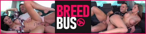 Breed Bus